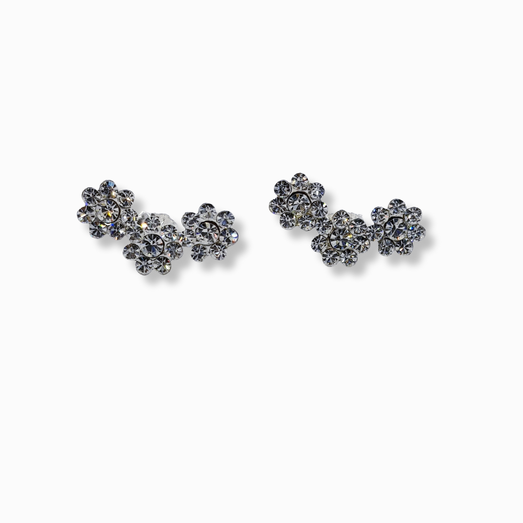 AROS TREPADORES PLATA 925